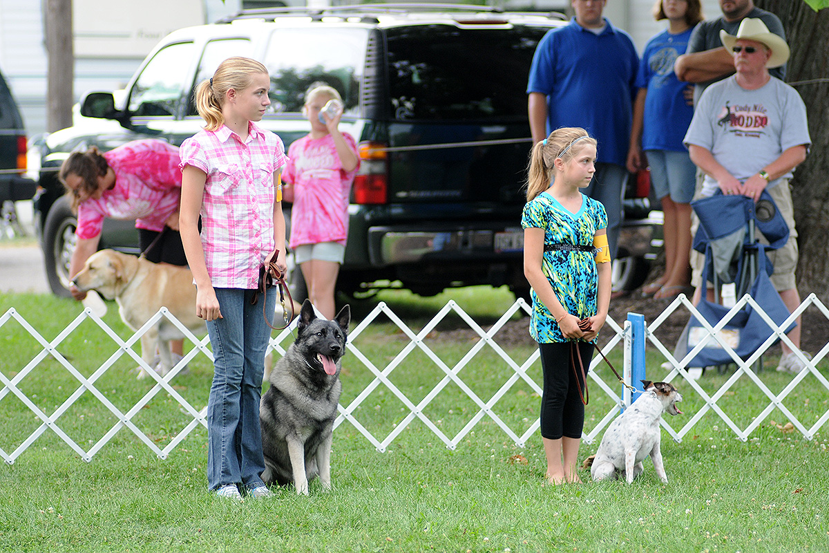 Animal Care St. Paris, Ohio